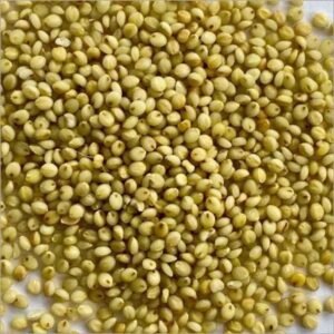 Organic Millets - Brown Top Millet