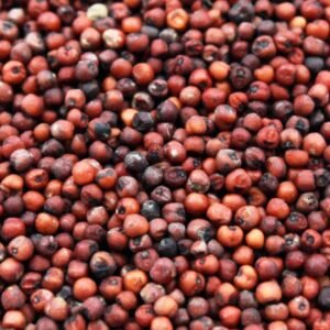 Organic Millets - Finger Millet