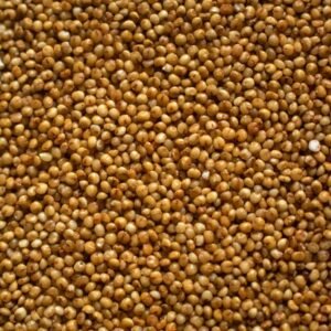 Organic Millets - Kodo Millet