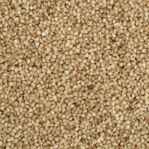 Organic Millets - Little Millet